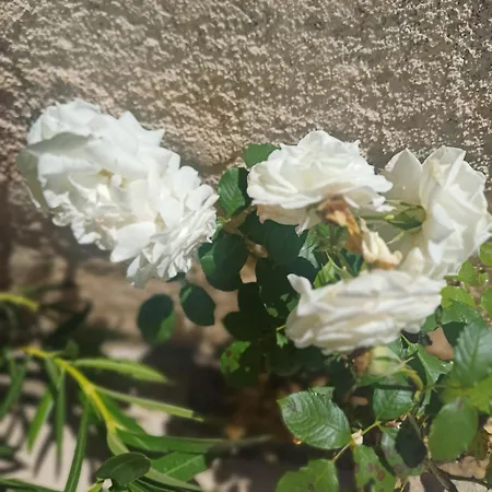 Cosy, Terrasse, Entier Apartment Aix-en-Provence